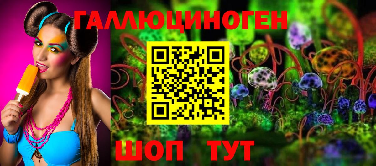 Псилоцибиновые грибы Cubensis Крымск