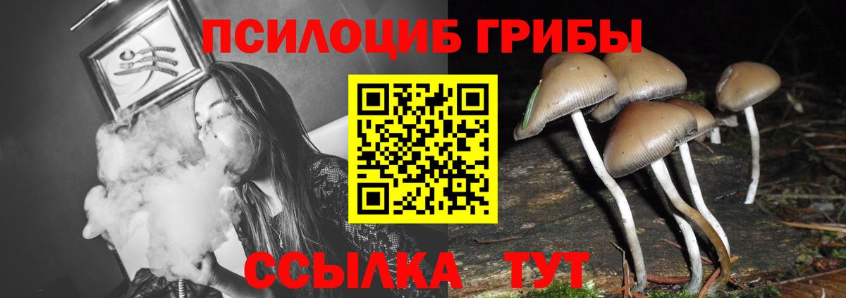 Крымск  Псилоцибиновые грибы MAGIC MUSHROOMS  Вход с VPN 